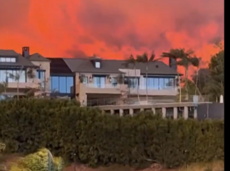 Pederastas en Pánico